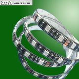 IP65 Gel Waterproof LED Strip Light