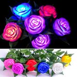 Rose LED Night Light for Valentine's Gift