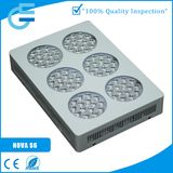 Energy Saving LED Plant Grow Light for Tomato