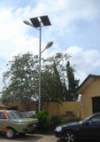 LED Solar Street Light (SYT-5004)