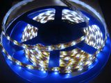 Flexible LED Strip Light with 12V DC Working Voltage