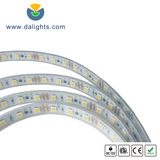 5050 DC12V 12mm Watherproof LED Strip Light