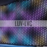 Curtain Wall LED Display