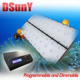 Programmable LED Aquarium Light for Reef Coral, No Fan Noise, Sunrise/Sunset/Lunar, 28/56/112*3W (UT1/2/4-RC-P)