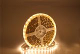 12V High Flux 600 LEDs Strip Rope Light