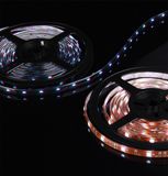 Astro-Fly Lighting Co., Ltd.