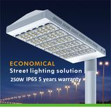 5 Years Warranty 250W IP65 LED Street Light (QH-LD6C-250W)