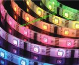 5050SMD 12V/24V Strip Light LED Strip