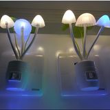 LED Night Light