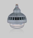 Energy-Saving Electrodeless Explosion Proof Light 40W 50W