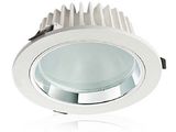 20W COB LED Down Light