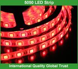 SMD 5050 Flexible LED Strip Light