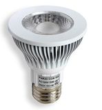 PAR20 6W COB LED Spotlight (FY-SD1010-A)