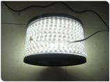 Super Bright 220V 30SMD Cool White 5050 LED Strip Light