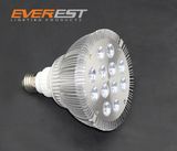 12W LED PAR Light