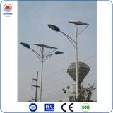 Solar Light for Garden/Large Outdoor Solar Lights