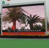 Outdoor Full Color LED Digital Signage Display