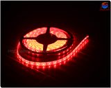 SMD3528 LED Strip Holiday Light for Christmas