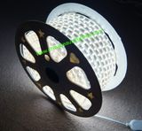 5050SMD 110V 72PS Per Meter LED Light LED Strip Light