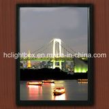 Ultra Thin Aluminum LED Light Box