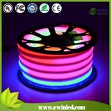 Dimmable RGB LED Neon Flex Light LED Strip 220V