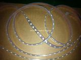 IP68 SMD 5050 30LED/M 12V LED Strip Light