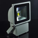 LED Flood Light