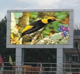 Outdoor P10 High Bright Full Color LED Display