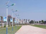 Wbr011 30W Single Lamp Solar LED Street Light