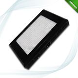 Hydroponic Full Spectrum 288*3W LED Grow Light