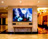 Full Color Indoor LED Display