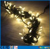 AC Fairy LED Outdoor String Light with Connectable 100LED