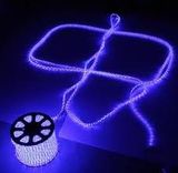 3014SMD LED Strip LED Strip Light LED Light