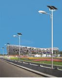 Wbr0066 40W Single Lamp LED Street Solar Light