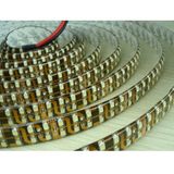 Waterproof LED Strip (240LEDs/M, IP65)