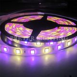 Waterproof 5050SMD LED Strip Light