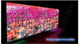 P1.9 Indoor Full Color LED Display for Wedding Party