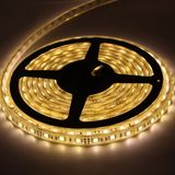 LED AC 12V/24V LED Strip Light LED