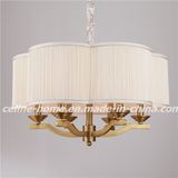 Popular Fashion Pendant Lamp Chandelier (SL2060-6B)