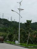 70W Solar/Wind Hybrid LED Street Solar Light