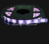 SMD 5060+1210 RGB+W Flexible Strip-120 LEDs/M LED Light