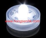 Submersible LED Light