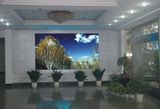 P8 Indoor LED Display/LED Display