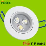 3W LED Ceiling Light with CE SAA RoHS Approval (ST-CLS-B01-3W)