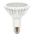 LED E27 PAR30 with CE&RoHS