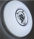 5730 15W 18W 20W 22W 24W LED Ceiling Light