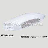 LED Street light (LL-004)