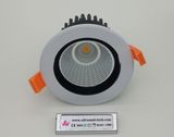 High Quality 12W LED Down Light with Dimmable Driver (DLC090-002)