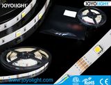 SMD Flexible LED Strip Light (5050-30LEDs/m)