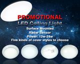 Hotsell Ceiling LED Lights (XD07-P12W-A1)